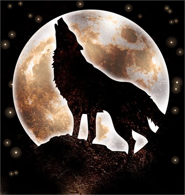 Wolf Moon Therapies logo